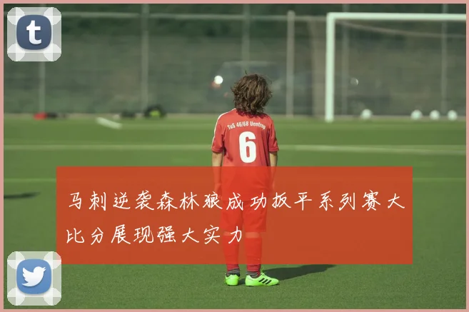 马刺逆袭森林狼成功扳平系列赛大比分展现强大实力