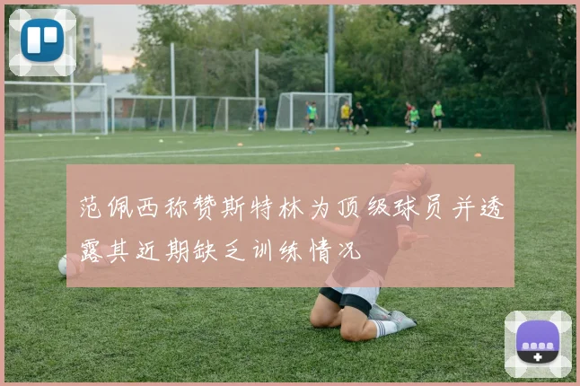 范佩西称赞斯特林为顶级球员并透露其近期缺乏训练情况