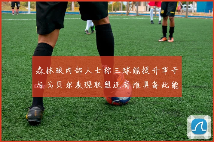 森林狼内部人士称三球能提升华子与戈贝尔表现联盟还有谁具备此能力