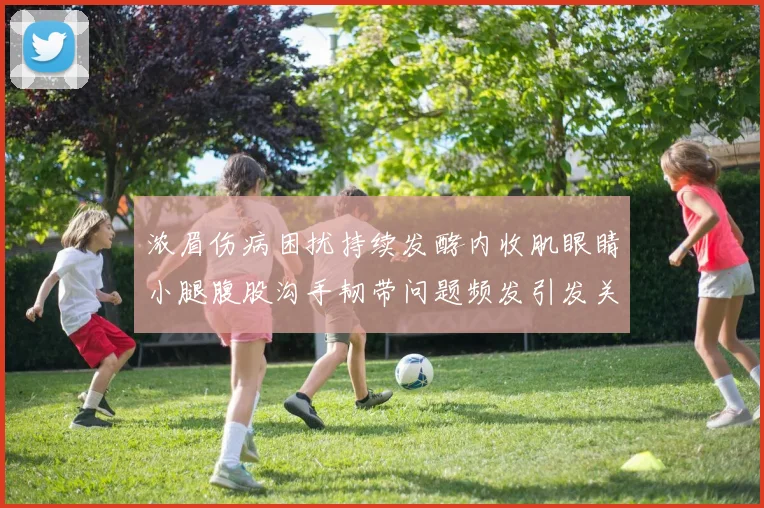 浓眉伤病困扰持续发酵内收肌眼睛小腿腹股沟手韧带问题频发引发关注
